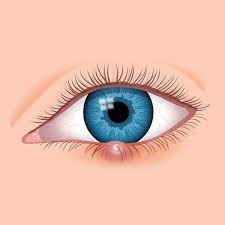 corneal transplant dubai